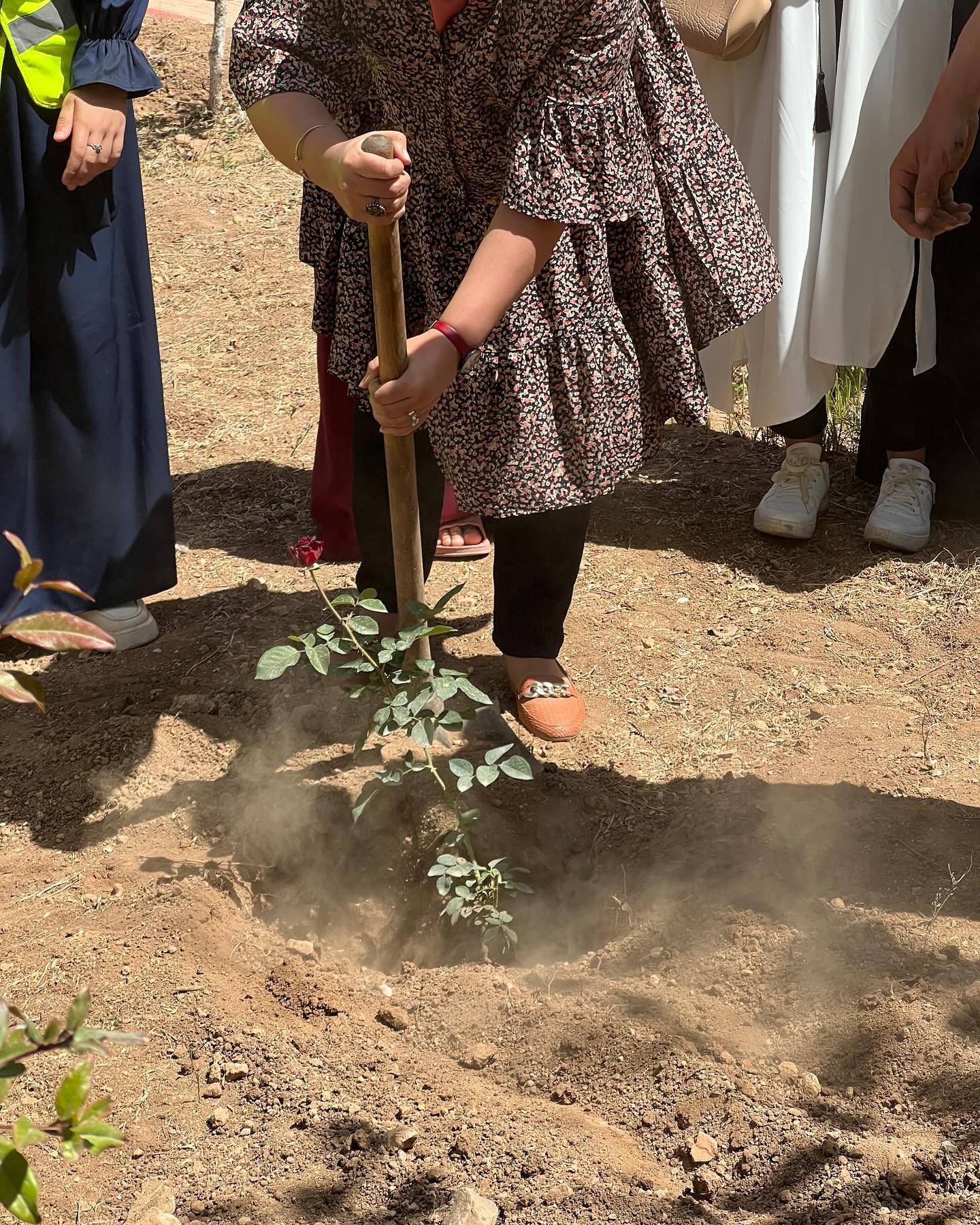 Jeunesse Volontaire activities