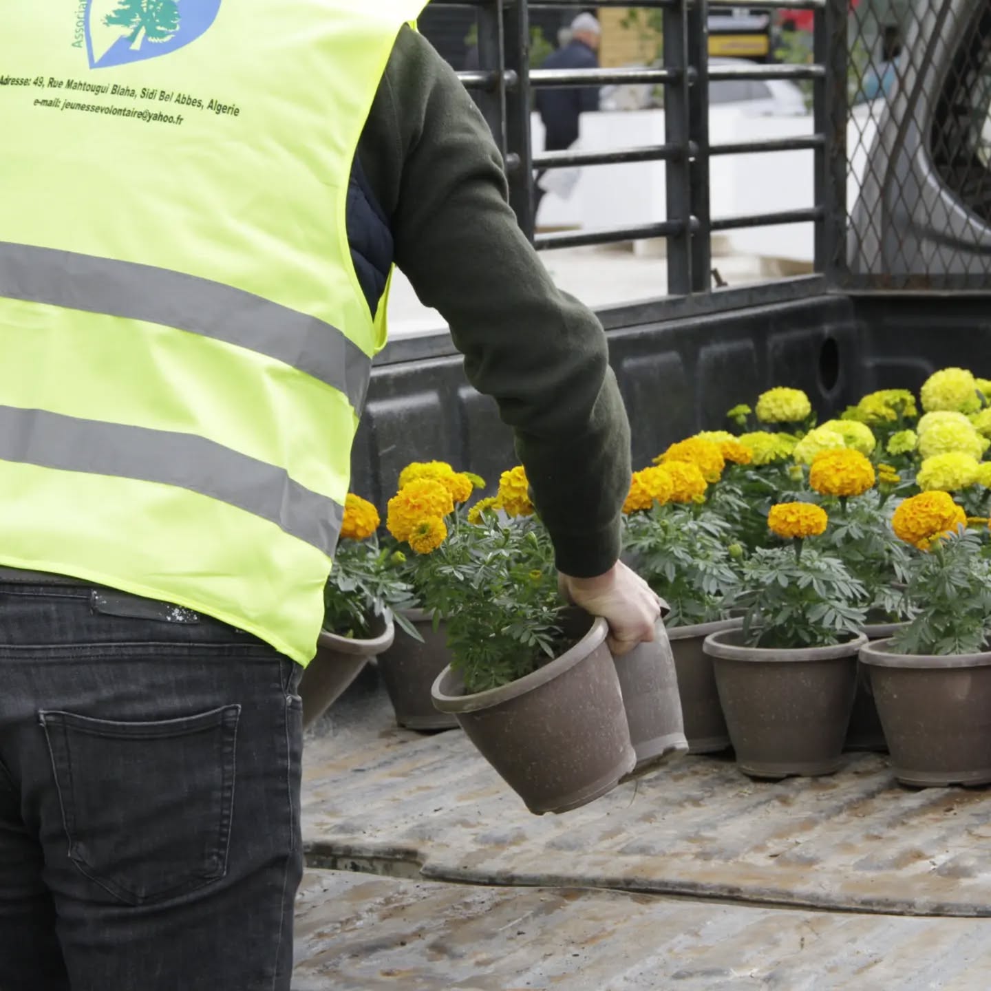 Jeunesse Volontaire activities